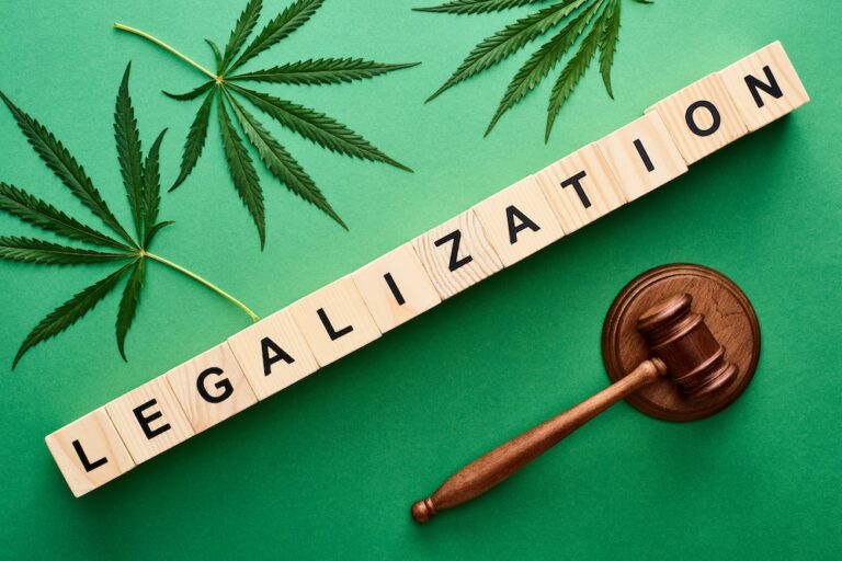 A Beginners’ Guide to Hemp Legalization